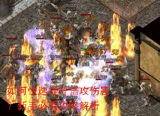 如何快速提升倍攻伤害?新手必看攻略解析 如何快速提升倍攻伤害?新手必看攻略解析