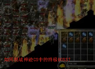 �����ս��CS�е��ռ�BOSS��