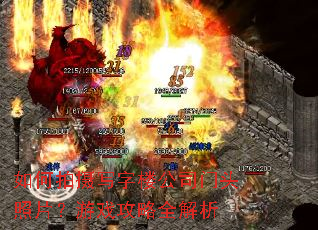 如何拍摄写字楼公司门头照片?游戏攻略全解析 如何拍摄写字楼公司门头照片?游戏攻略全解析