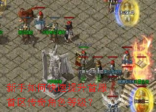 新手如何快速提升首服首区传奇角色等级? 新手如何快速提升首服首区传奇角色等级?