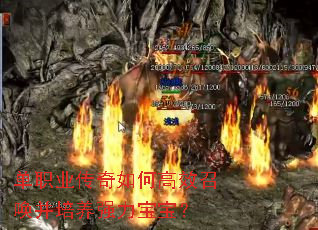 单职业传奇如何高效召唤并培养强力宝宝? 单职业传奇如何高效召唤并培养强力宝宝?