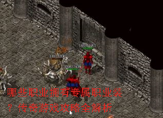 哪些职业拥有专属职业装?传奇游戏攻略全解析 哪些职业拥有专属职业装?传奇游戏攻略全解析