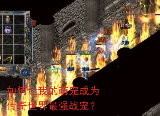 ������ҵ��ȳ��Ϊ����������ǿս�裿