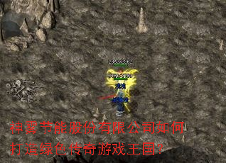 �������ܹɷ����޹�˾��δ�����ɫ������Ϸ������