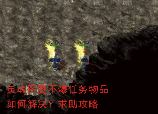 灵魂图腾不爆任务物品如何解决?求助攻略 灵魂图腾不爆任务物品如何解决?求助攻略