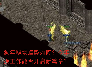 狗年职场运势如何?今年换工作能否开启新篇章? 狗年职场运势如何?今年换工作能否开启新篇章?