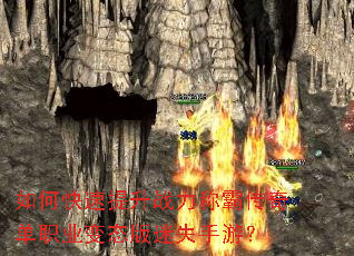 ��ο�������ս���ưԴ��浥ְҵ��̬����ʧ���Σ�