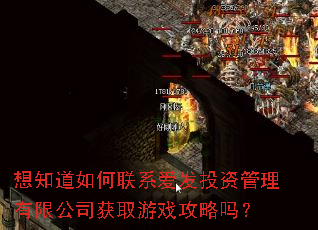 想知道如何联系爱发投资管理有限公司获取游戏攻略吗? 想知道如何联系爱发投资管理有限公司获取游戏攻略吗?