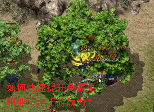 如何快速提升免费单职业传奇手游战力? 如何快速提升免费单职业传奇手游战力?