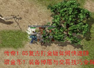 传奇1.85复古打金版如何快速赚取金币?装备掉落与交易技巧全解析 传奇1.85复古打金版如何快速赚取金币?装备掉落与交易技巧全解析