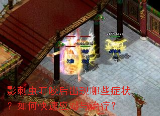 影刺虫叮咬后出现哪些症状?如何快速应对与治疗? 影刺虫叮咬后出现哪些症状?如何快速应对与治疗?