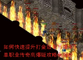��ο����������Ч���뱬�ʣ���ְҵ����߱��湥��ȫ����