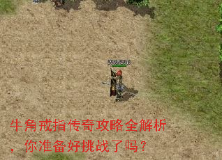 ţ�ǽ�ָ���湥��ȫ��������׼������ս����
